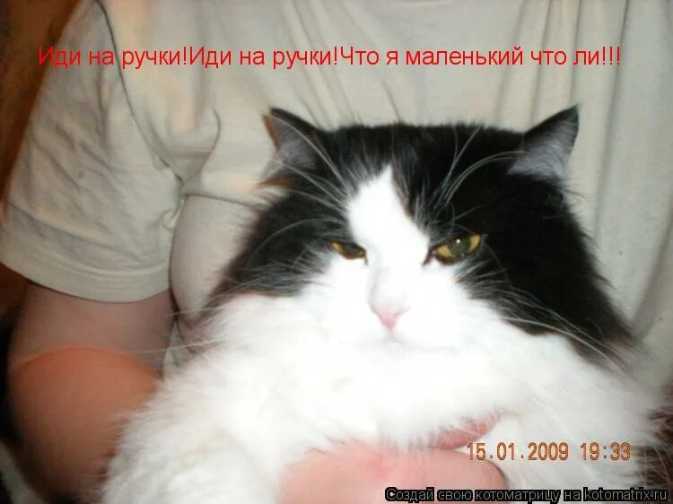 парень и девушка держатся за руки. морт просится на ручки. шутки про бабушек и дедушек. смешные высказывания родителей про детей. иди ко мне мужчине.