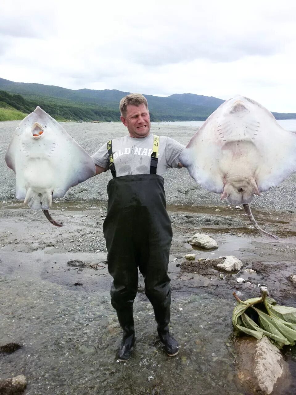 Рыбалка на сахалине сегодня. Сахалин рыбалка лето. Морская рыбалка на сахалине. Рыбалка на курилах. Охота и рыбалка на сахалине.