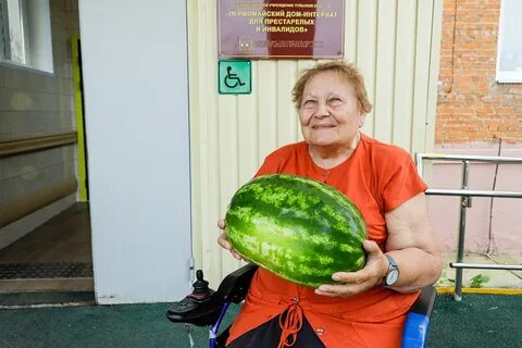Арбузы на 2024 год