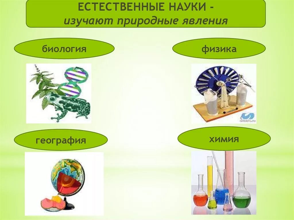 Естественно научные предметы 8 класс. Естественные науки. Естественные науки химия биология физика. Физика химия биология география. Естественный.