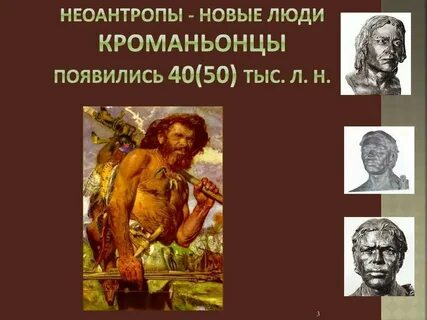 Особенности строения и образ жизни неоантропы