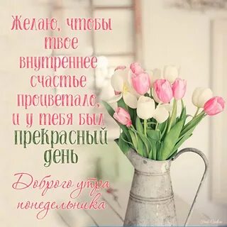 Пожелание добра картинки стильные