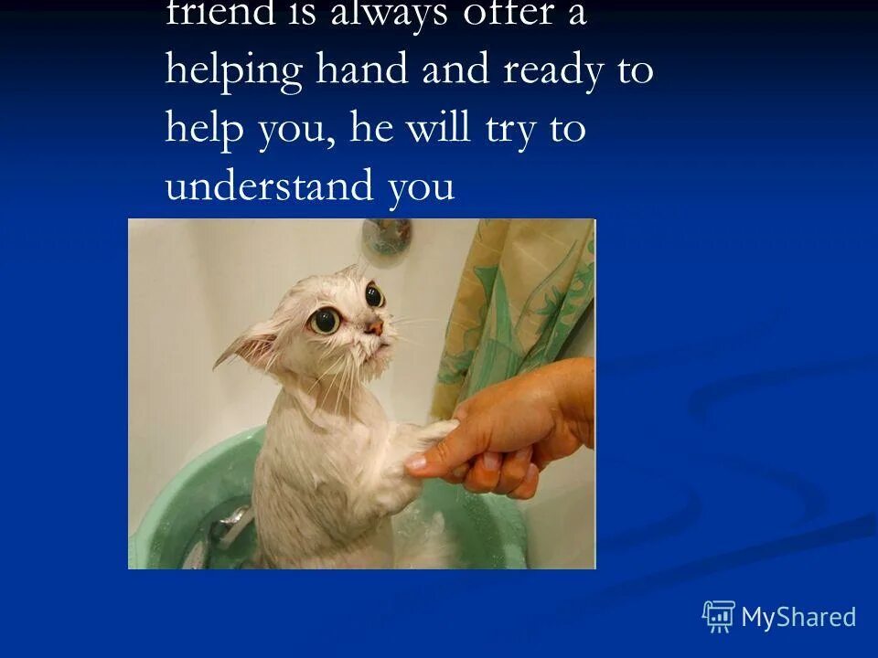 I try to help you. Проект на тему we are ready to help you. we are ready to help you проект 5 класс. we are ready to help you проект по английскому 5 класс. проект по английскому мы готовы помочь вам.