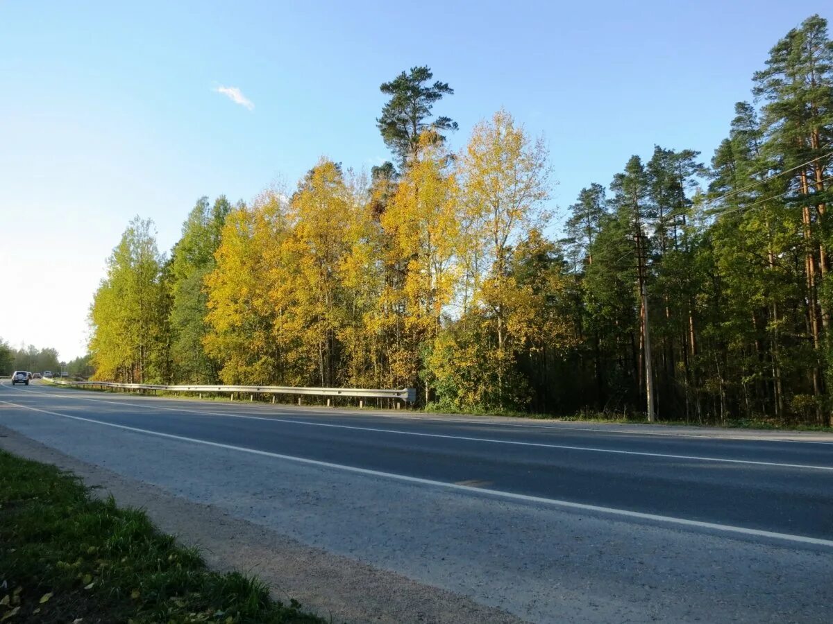 Плодовое Ленинградская область. П.плодовое Приозерский район. Плодовое Ленинградская область Приозерский. Приозерский район старое плодовое.