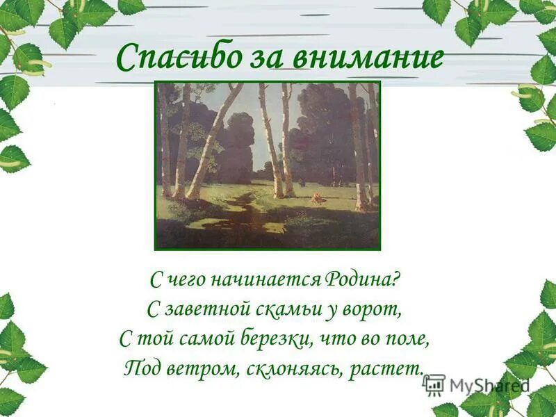 Презентация с чего начинается родина 4 класс. Спасибо за внимание с березой. Слайды берёзы для презентации. Презентация на тему береза. Слайды для презентации березовые.