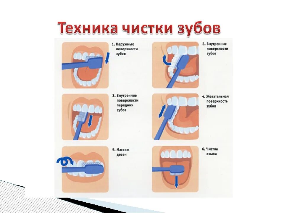 Чистить зубы на английском