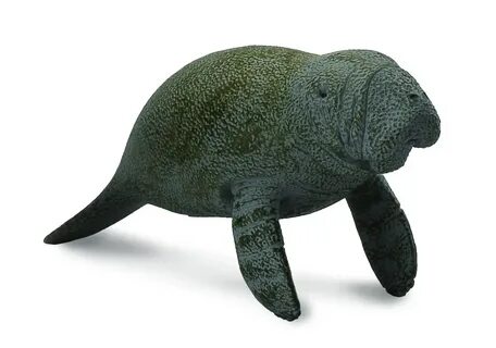 Collecta