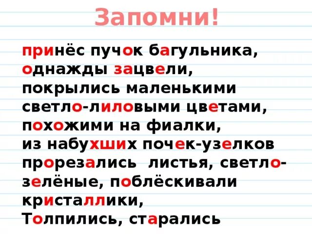 Костя принес в класс пучок тонких изложение