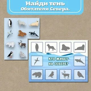 Игра животные севера