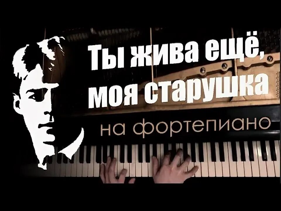 Текс песни ордена не продаются. Моя старушка аккорды. Старушка не спеша. Моя старушка аккорды. Верила верила ноты для баяна.