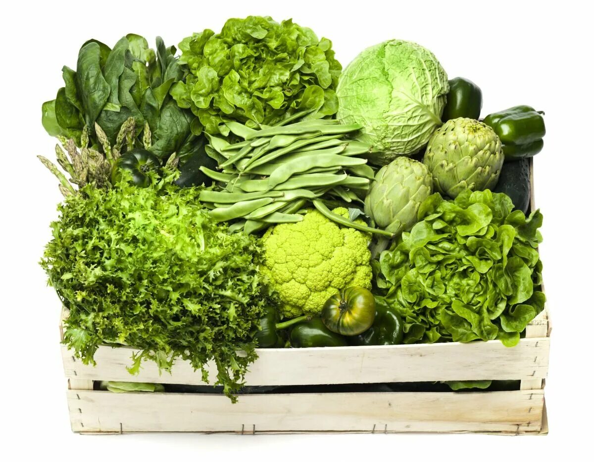 Какие бывают зеленые овощи. Листовые овощи. Зеленые лиственные овощи. Листовая зелень. Зелень и листовые овощи.