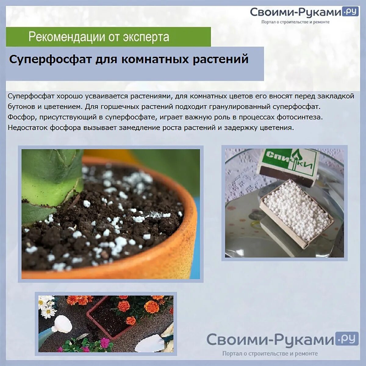 Как растворить суперфосфат для подкормки. Удобрения для растений. подкормка растений удобрениями. грунты и удобрения для комнатных растений. суперфосфат для комнатных растений.
