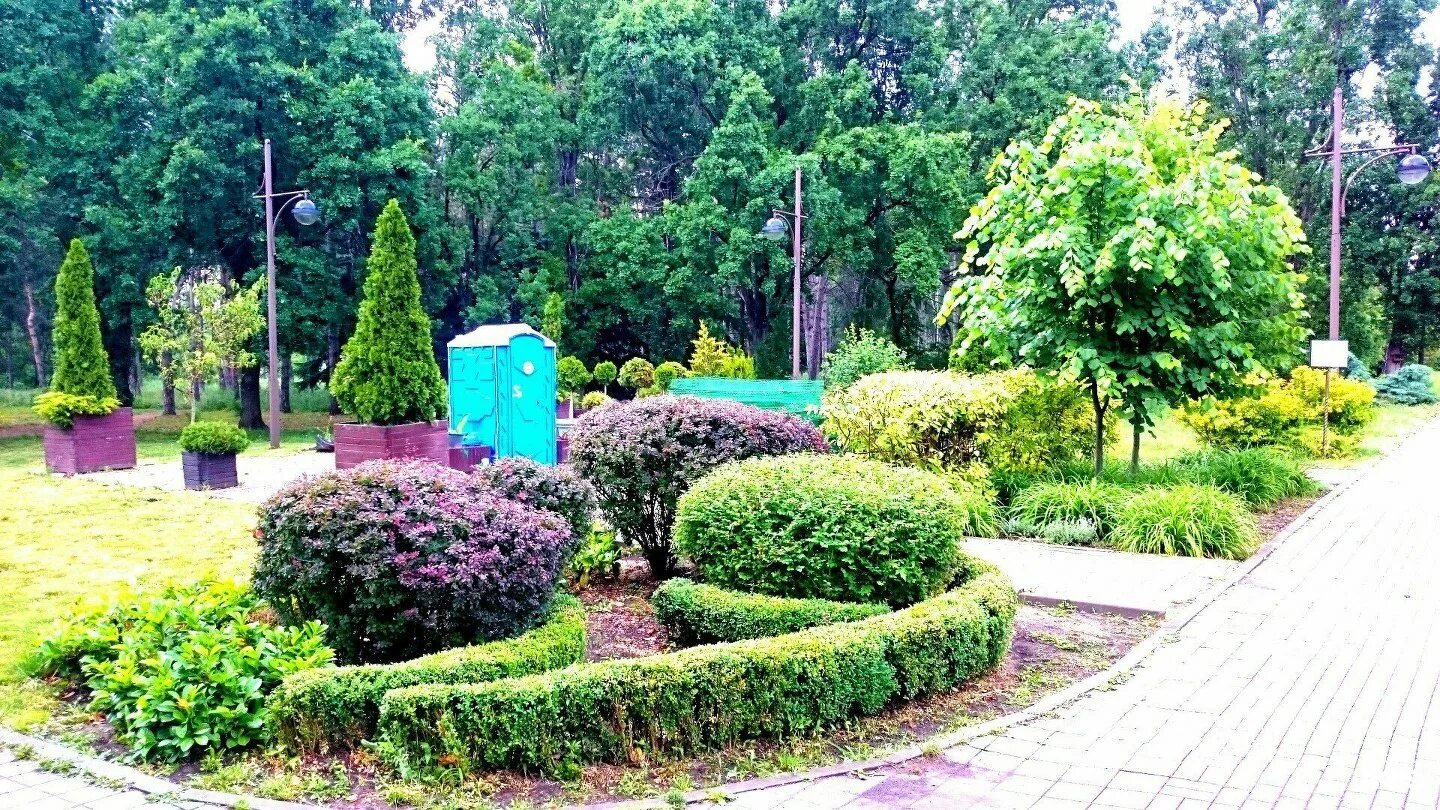 Красно сад краснодар. Парк ботанический сад краснодар. Красно сад краснодар. Парк горького краснодар. Парк горького краснодар.