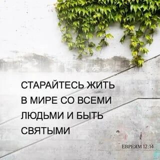 Евреям 12