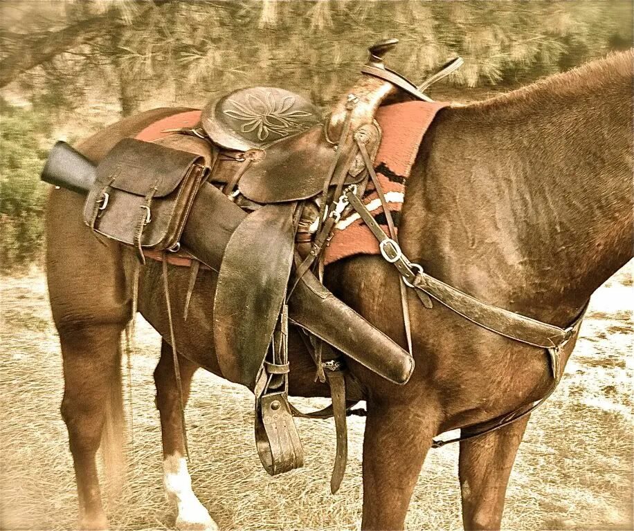 Он опустил карабин поперек седла. Седло вакеро rdr 2. вьючное седло. андреевская упряжь седла. ковбойская амуниция для лошади.