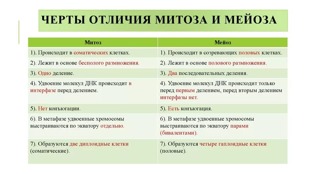 Деление клетки митоз и мейоз таблица. Основные отличия мейоза от митоза. Сходства и различия митоза и мейоза в таблице. Черты сходства и различия мейоза и митоза. Черты сходства и различия мейоза и митоза.