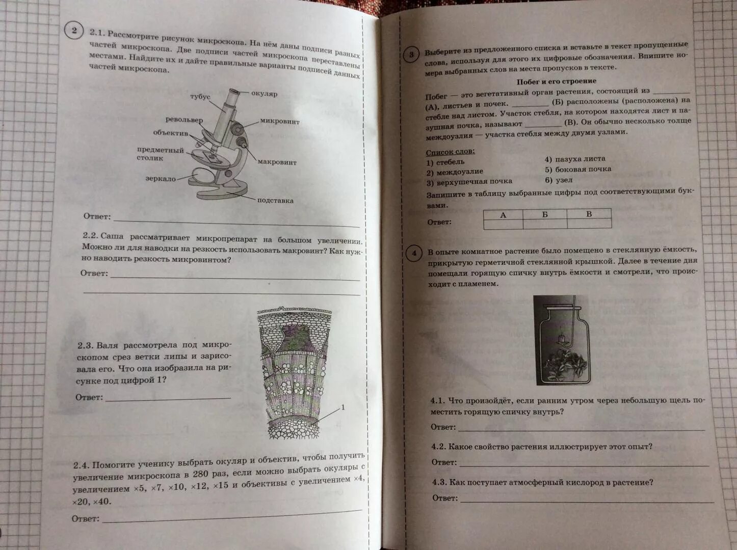 ВПР типовые задания 5 класс биология. Задание ВПР биология. Шпаргалки на ВПР по биологии 5 класс. ВПР по биологии. Впр по биологии второй вариант