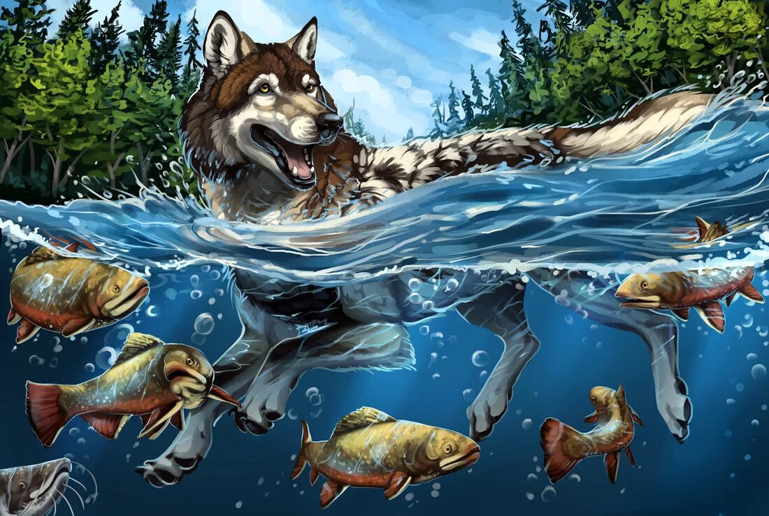 Ловил рыбу хвостом. Волк под водой. Водный волк. Волк плывет. Рыба волк.
