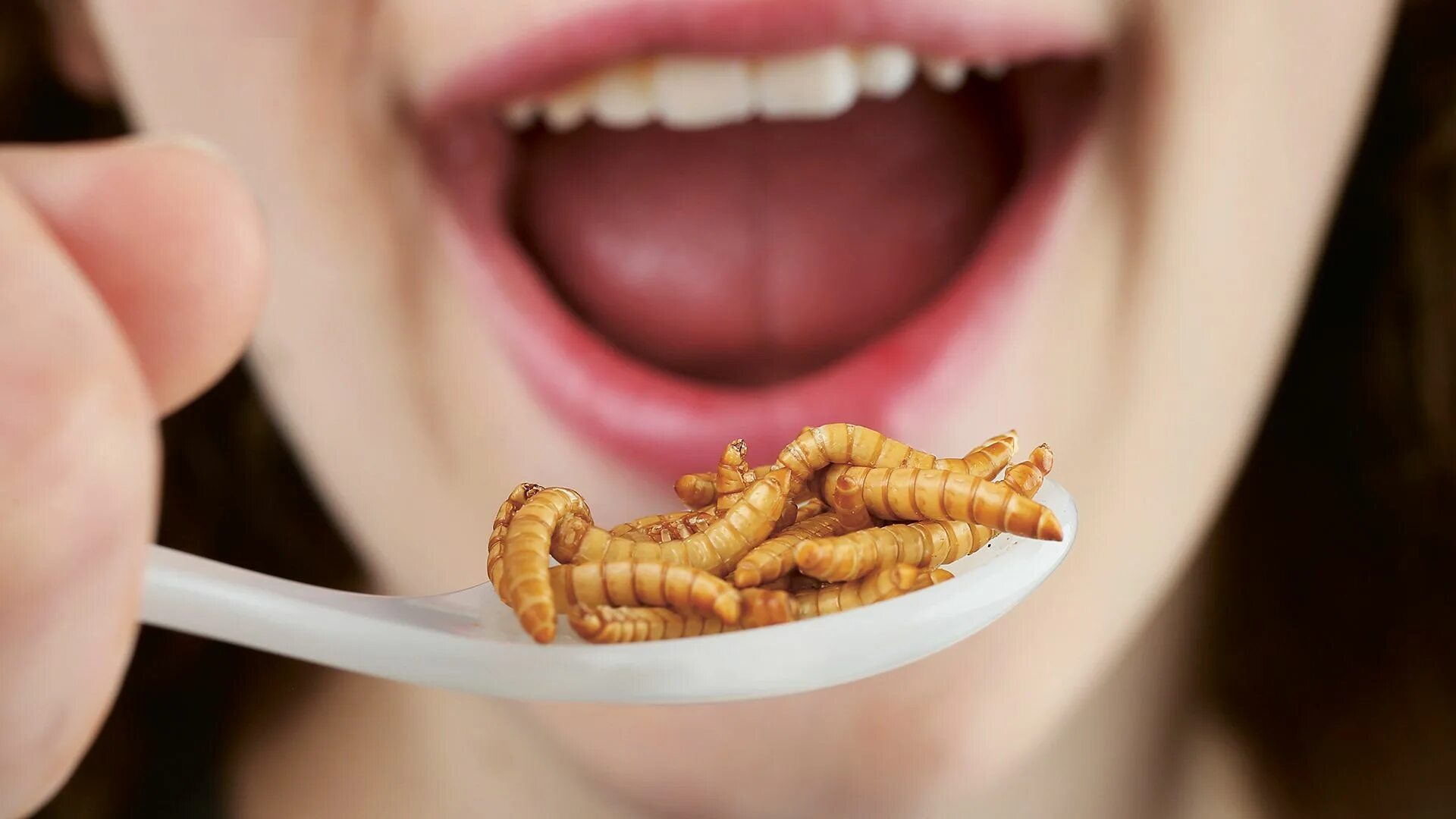 Личинки в продуктах. Личинки которые едят люди. Червяки которые бывают в зубах.