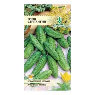 Огурцы семена пакетики