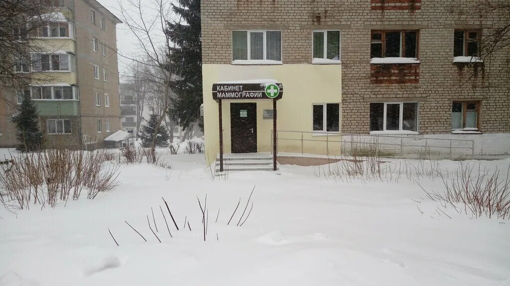 рокоссовского 7 железногорск нарколог. улица рокоссовского 54 железногорск курская область. рокоссовского 54 железногорск курская область. рокоссовского 56/2 железногорск курская область. железногорск курская обл рокоссовского 54.