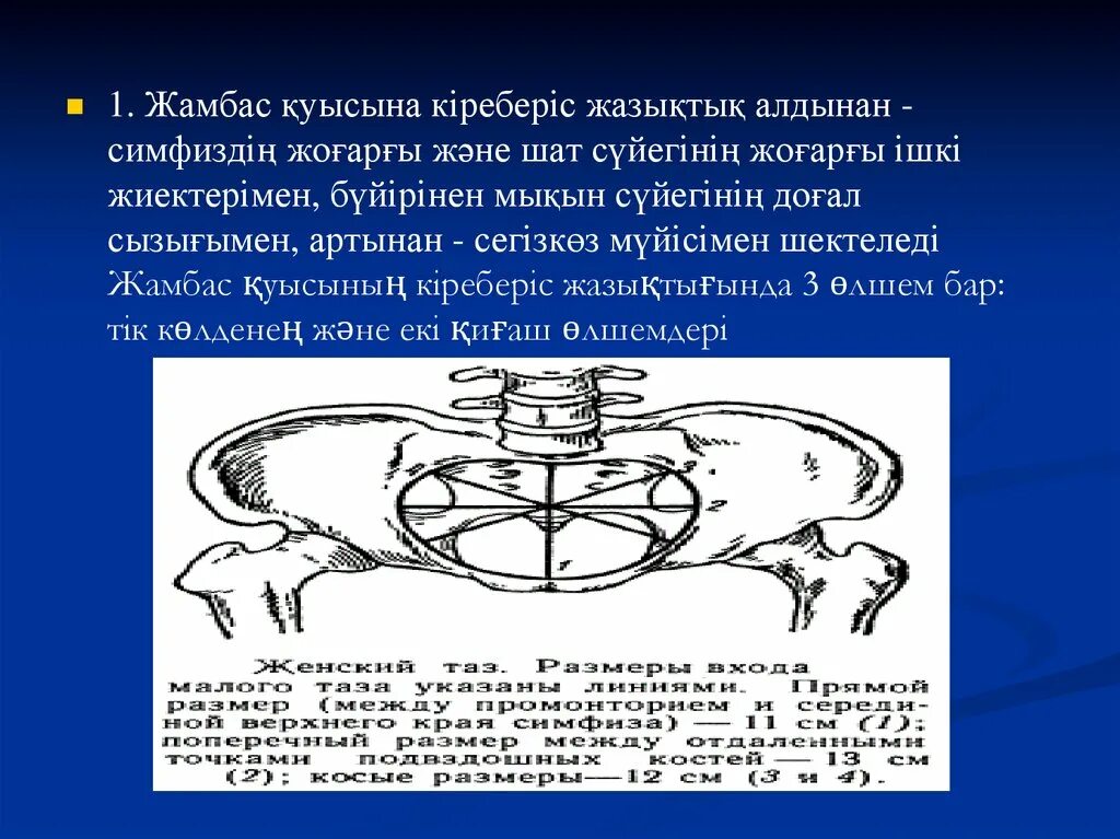 Жамбас. Жанбас. жамбас корпе. жамбас на русском.