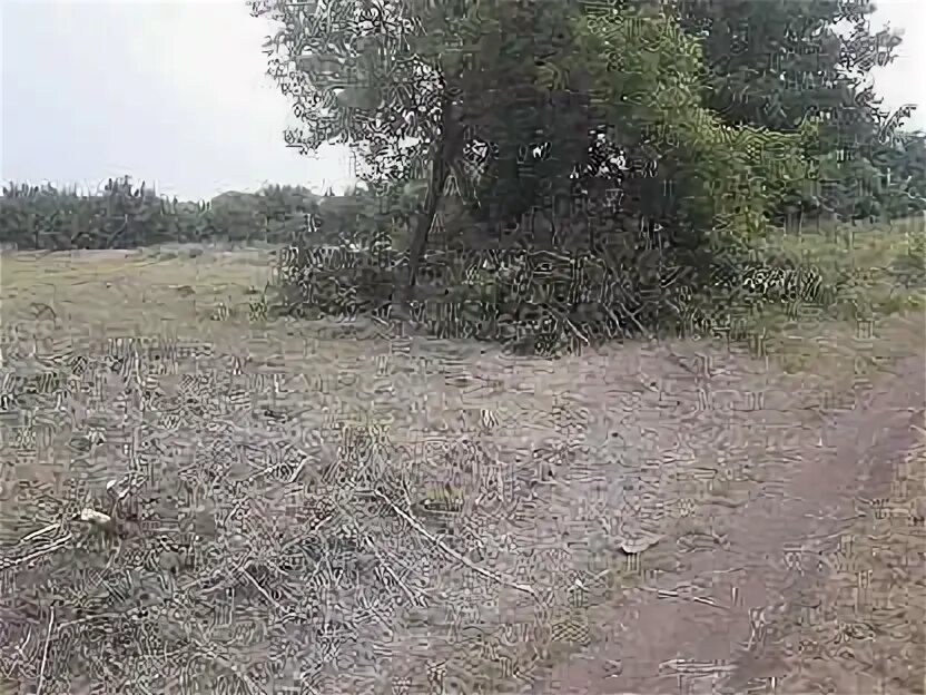 Поселок яковлево белгородская область. Яковлево белгородская область парк. Яковлево белгородская область ветряная мельница. Погода яковлево белгородская область на 10 дней. Белгород яковлево.