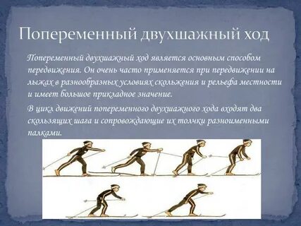 Что является техникой попеременного двухшажного хода