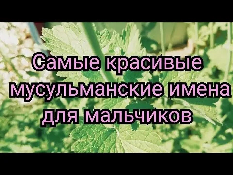 Имена для мальчиков в исламе. Мусульманские имена для мальчиков м. Самые красивые имена для девочек мусульманские. Мусульманские имена для мальчиков. Мусульманские имена для мальчиков.