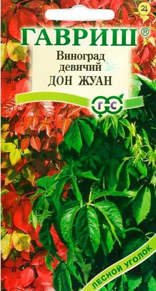 Виноград девичий пятилисточковый "дон жуан". Семена. Девичий дон. Виноград девичий (партеноциссус) пятилисточковый дон жуан. Виноград девичий нептун гавриш.