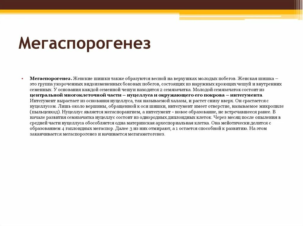 Также формируется. Мегаспорогенез. Процесс мегаспорогенеза. Мегаспорогенез голосеменных заканчивается образованием. Итог мегаспорогенеза.