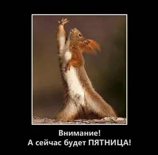 Пятница короткий день