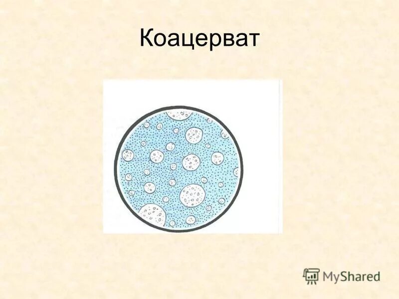 Коацерваты обладали свойствами живого потому что