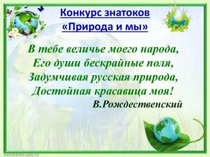 Природа в классе презентация
