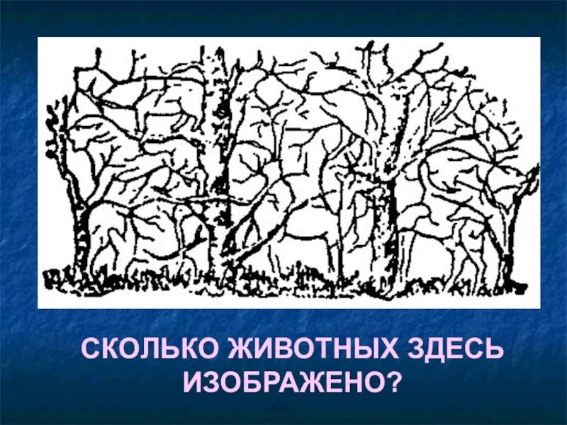 Сколько животных изображено. Сколько здесь животных. Сколько живетный на картинке. Сколько животных на картинке.