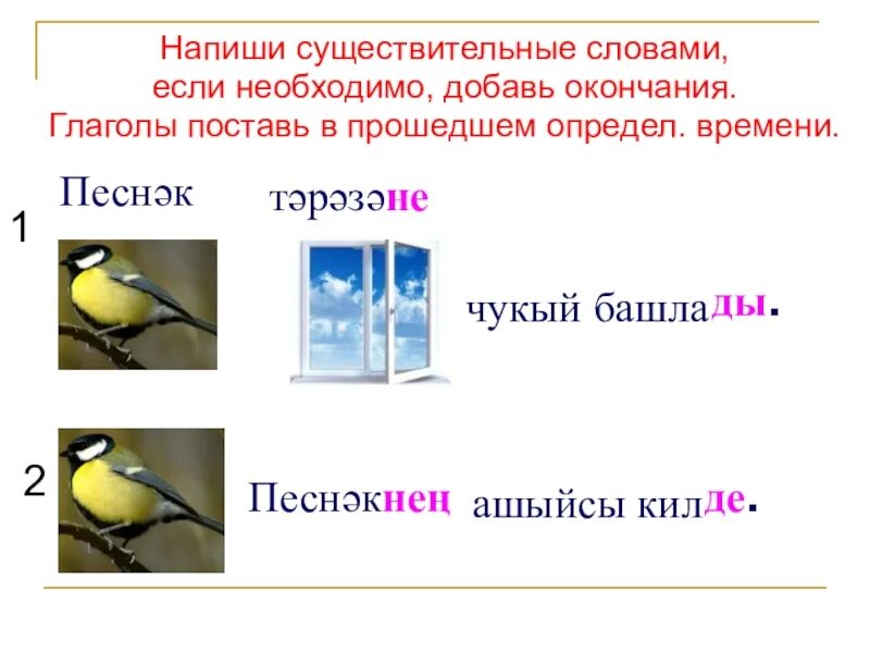 Птицы существительные слова. Предложения со словом башлады. Песнәк по русски. Как называется Песнәк на русском языке. ОКМ 2 класс о Песнәк.