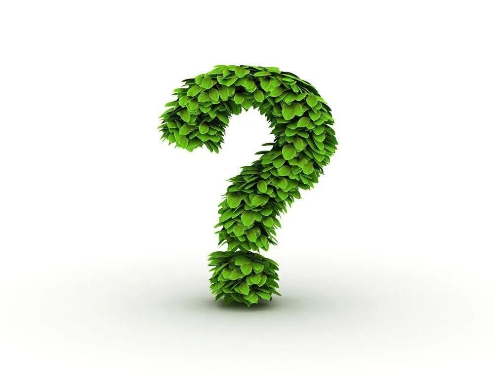 Трава зелена вопрос. Вопросительный знак зеленый. Вопросы про растения. Знак вопроса из растений. Вопросительный знак из трав.