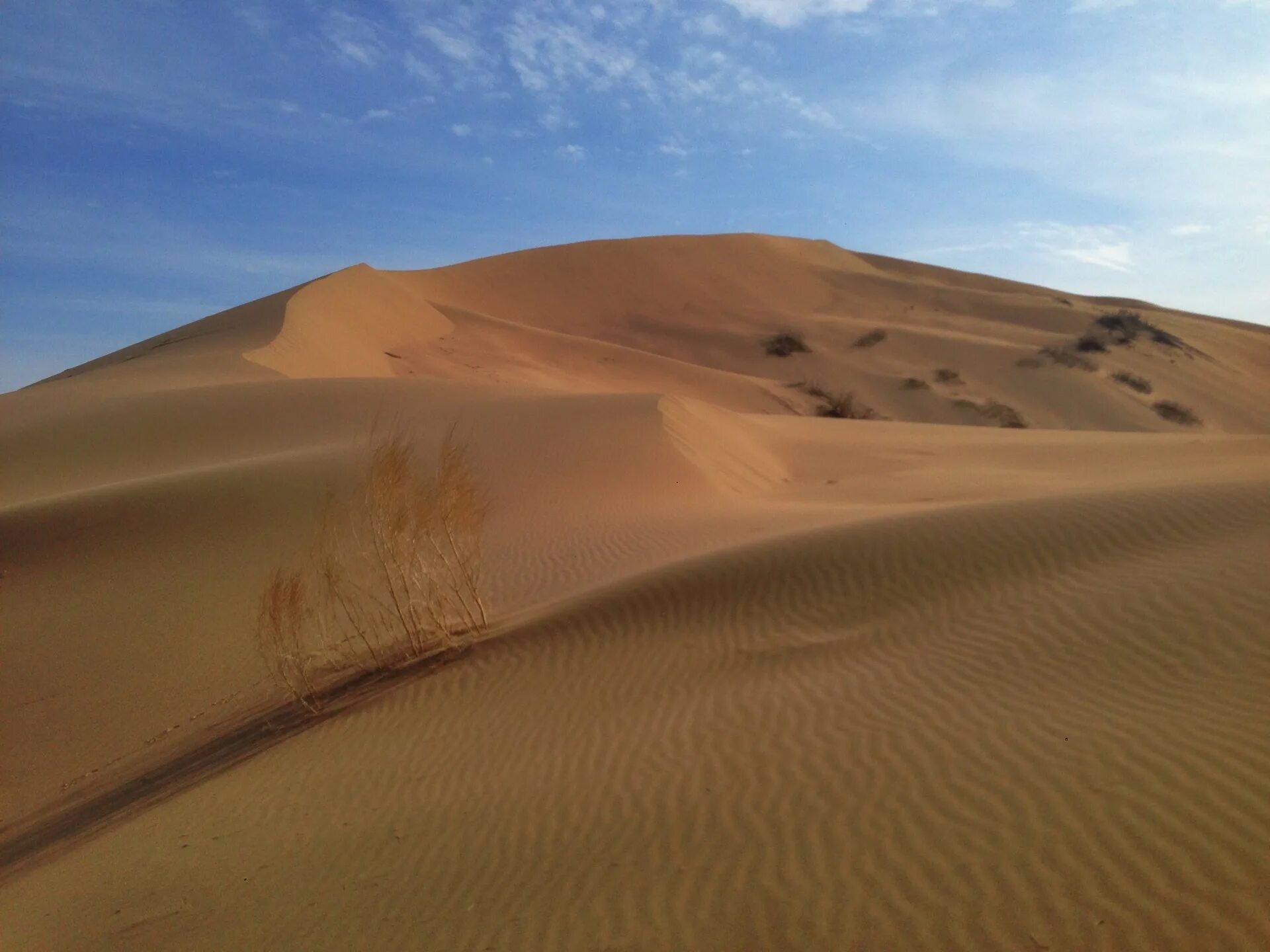 Казахстан пустыня. Пустыни такла-макан. Бархан сарыкум. Поющие барханы калмыкия. Бархан процесс.