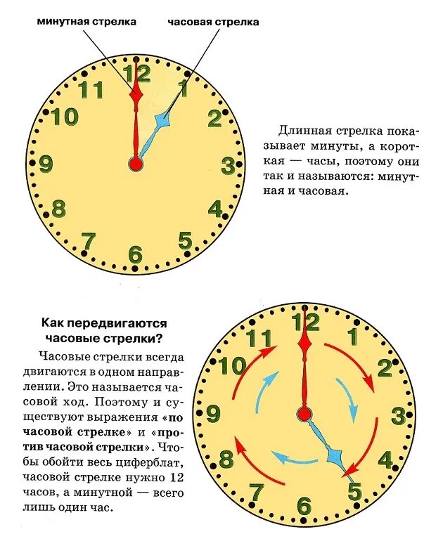 12 минут читать. Научить ребенка определять время по часам циферблат. Как правильно узнавать время по часам. Как определять время на механических часах. Как научиться определять время по часам.