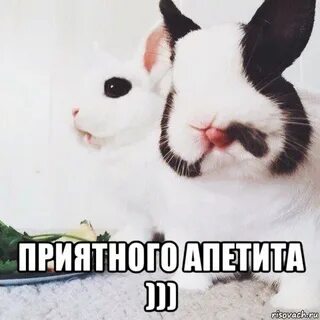 Всем приятного аппетита мой милый мальчик