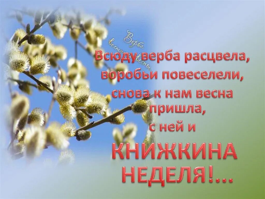 Предложение о цветущей вербе. Верба Верба Верба Верба зацвела. Верба зацвела. Верба расцвела стих для детей.