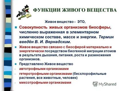 Совокупность всех живых организмов биосферы это