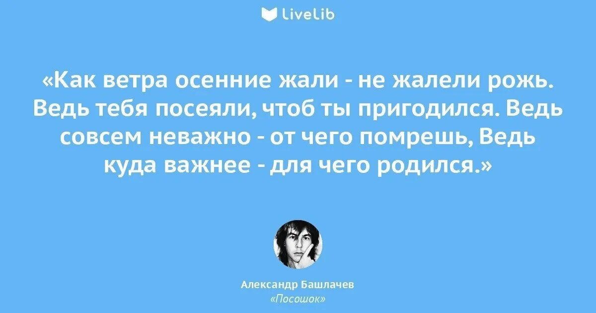 Сходит с ума весенний ветер теплыми ночами. Башлачёв посошок. Стих злой осенний ветер бьет. Стих злой осенний ветер бьет людей под дых. Посошок башлачев книга.