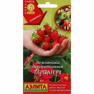 Аптека тарпан