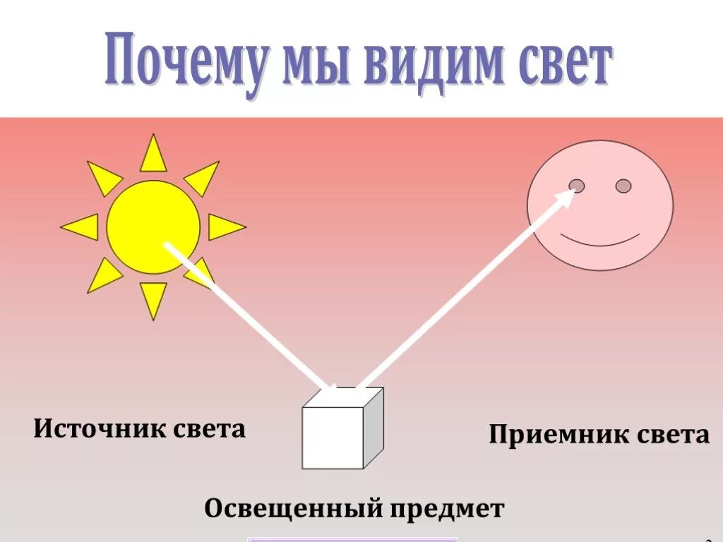 Благодаря чему мы видим. Источники света приемники света. Почему мы видим объекты. Почему мы видим предметы. Почему мы видим свет.