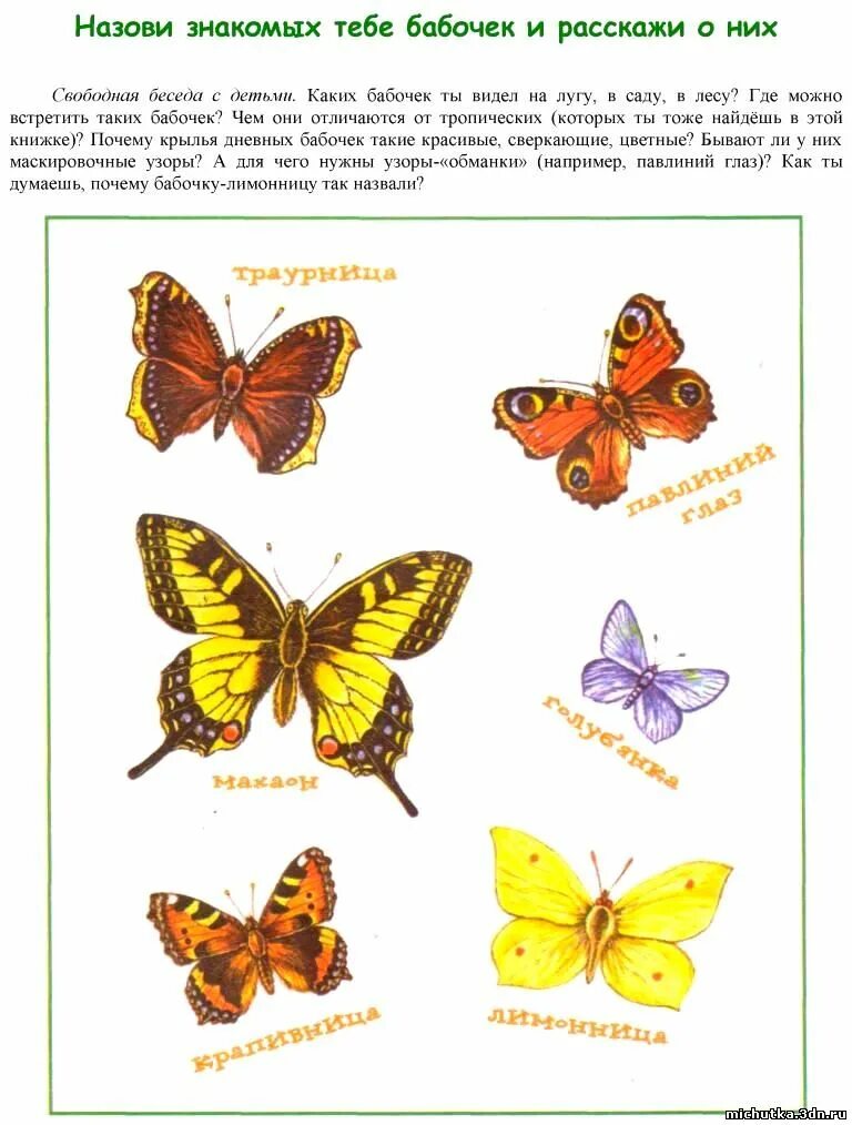Бабочки картинки окружающий мир. Название бабочек. Названия бабочек с картинками. Бабочки картинки для детей с названиями. Рисунки бабочки и их названия.