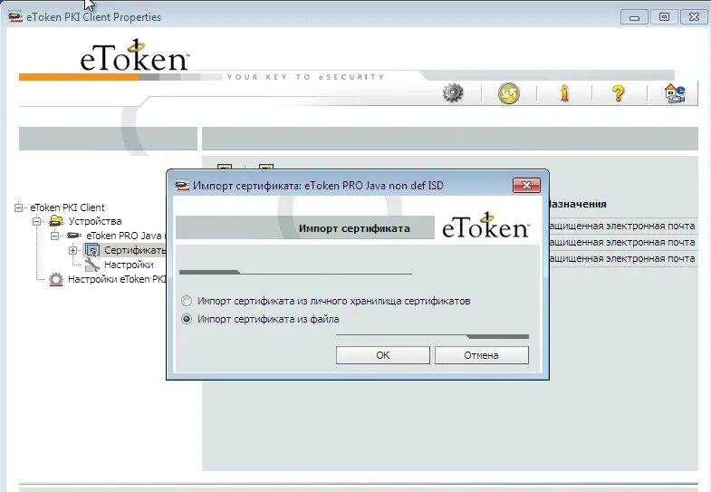 Etoken client. Етокен ПКИ клиент. ETOKEN программа. ETOKEN PKI client 5.1 sp1 сертификат. ETOKEN драйвер.