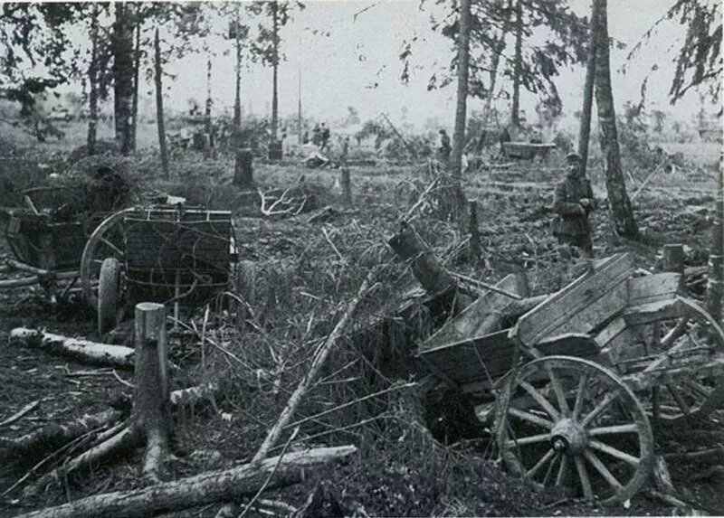 мясной бор великая отечественная война 2 ударная армия. волховский фронт мясной бор. волховская битва. немцы волховский фронт. волховский фронт мясной бор.