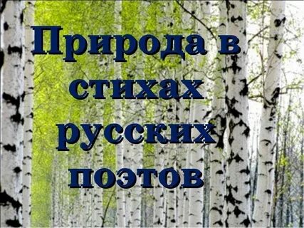 Стих в родной поэзии