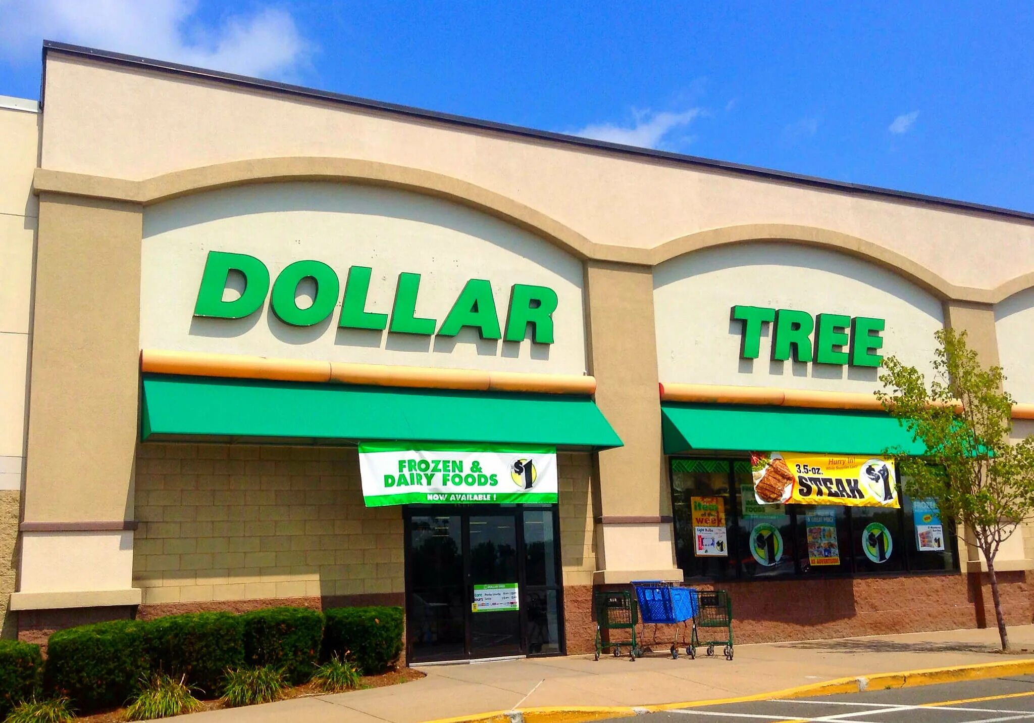 Dollar Tree магазин в США. Доллар три магазин. Магазин доллар три в Америке. Магазин олива Оренбург. Цены в магазинах в долларах